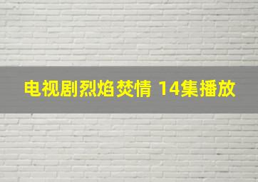 电视剧烈焰焚情 14集播放